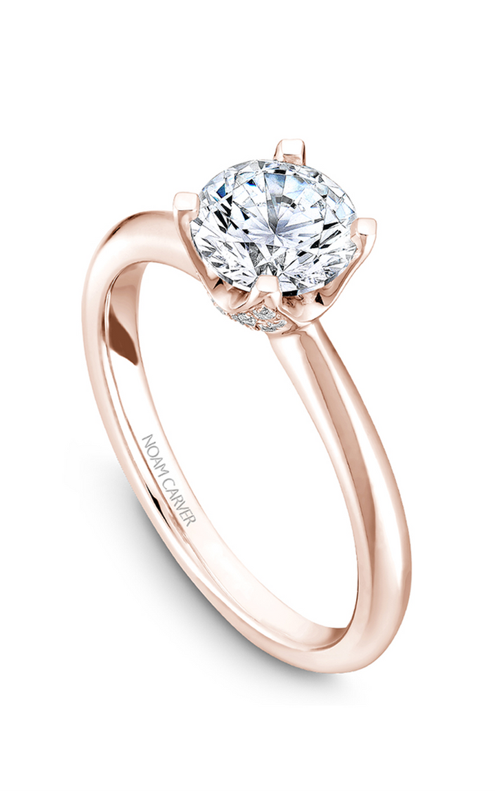 Noam Carver Solitaire Engagement Ring B027-03RA