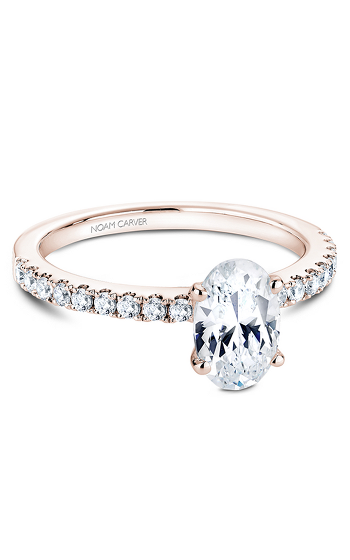 Noam Carver Solitaire Engagement Ring B017-02RA