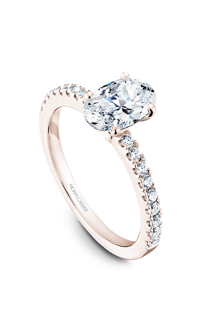 Noam Carver Solitaire Engagement Ring B017-02RA