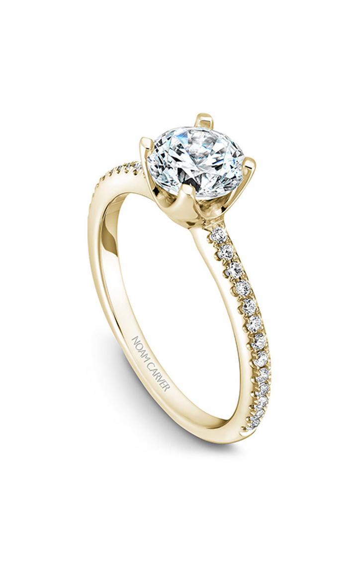 Noam Carver Solitaire Engagement Ring B027-02YA