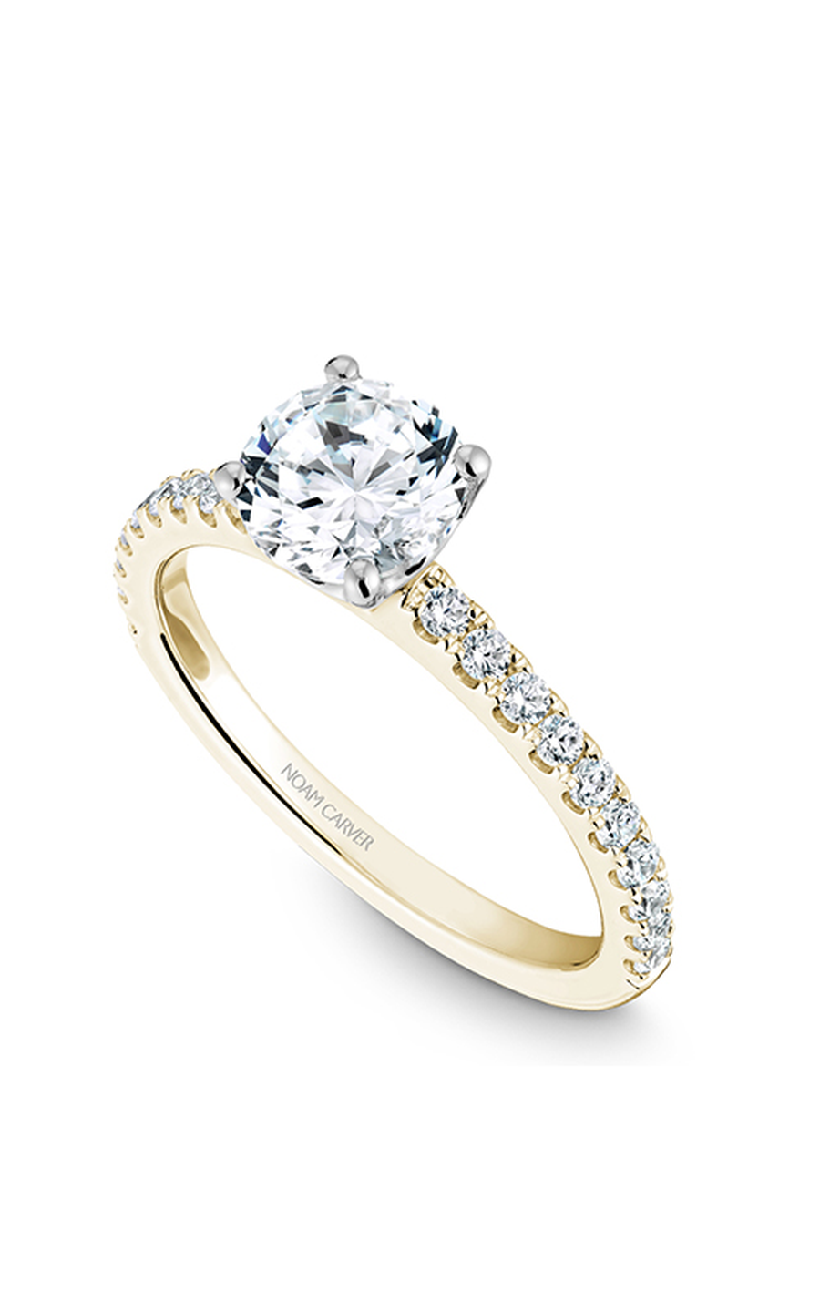 Noam Carver Solitaire Engagement Ring B101-01YA