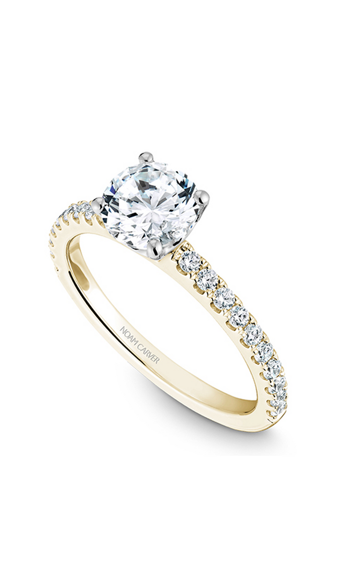 Noam Carver Solitaire Engagement Ring B101-01YA