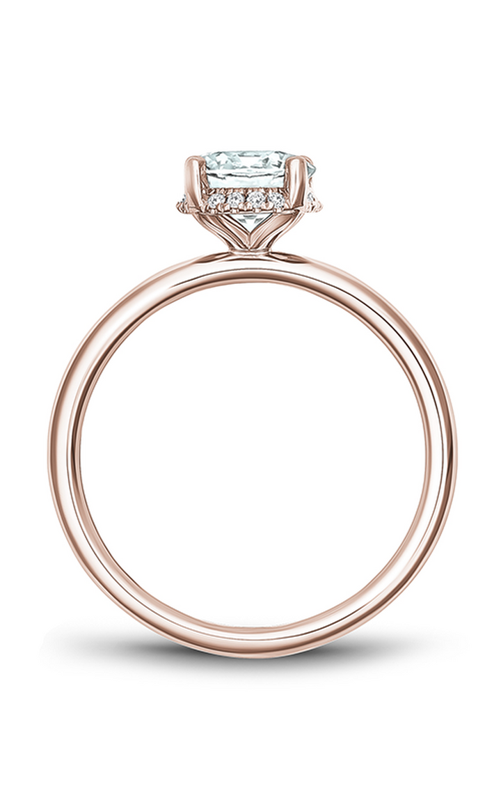 Noam Carver Solitaire Engagement Ring B263-02RA