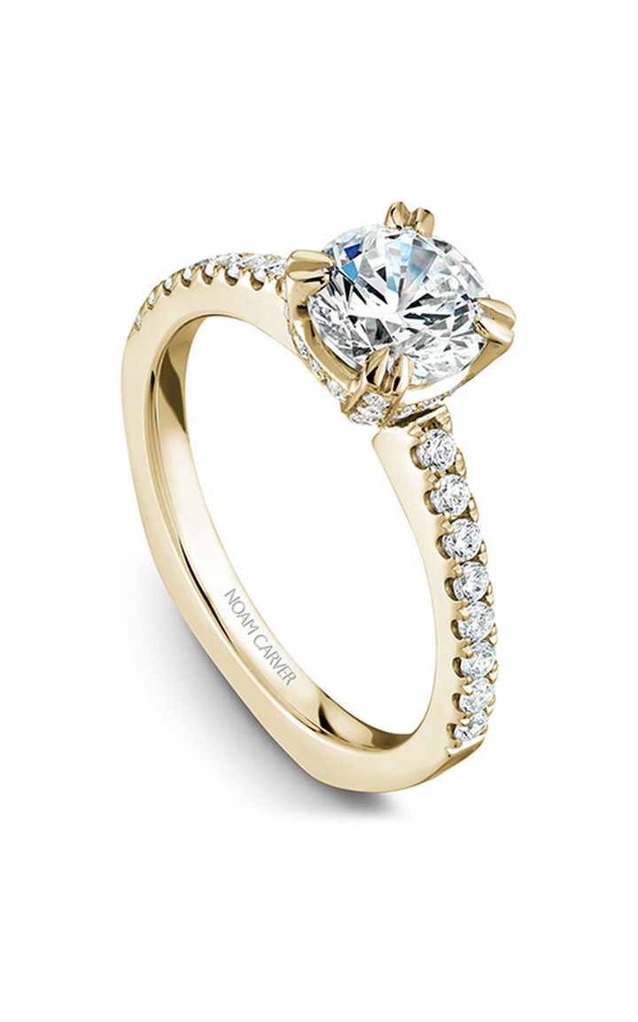 Noam Carver Solitaire Engagement Ring B009-01YA