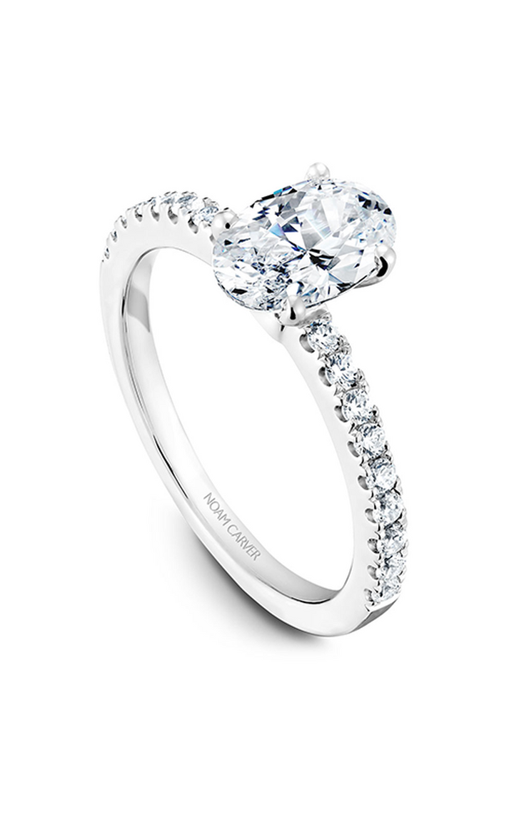 Noam Carver Solitaire Engagement Ring B017-02A