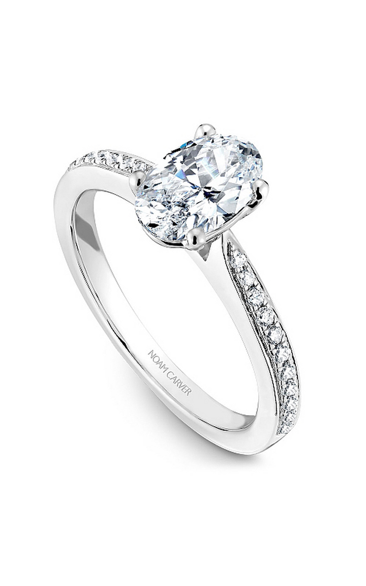 Noam Carver Solitaire Engagement Ring B018-03A