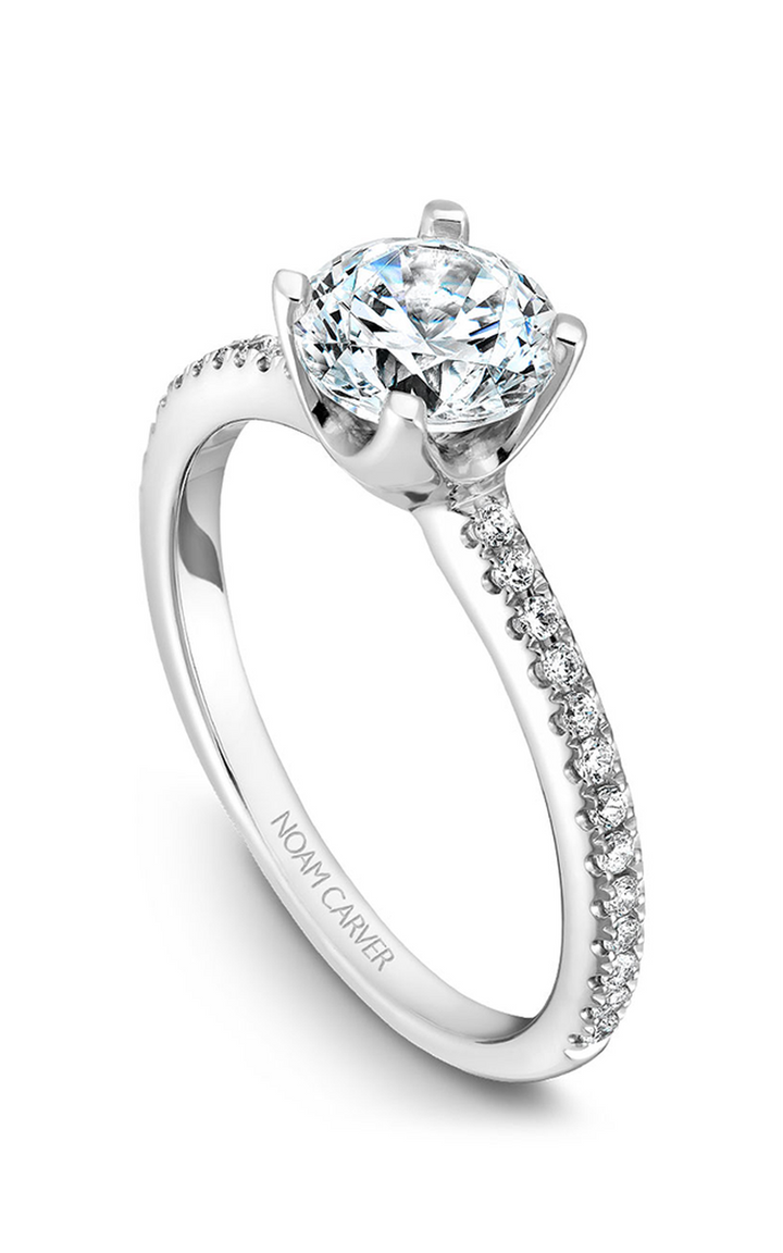 Noam Carver Solitaire Engagement Ring B027-02A