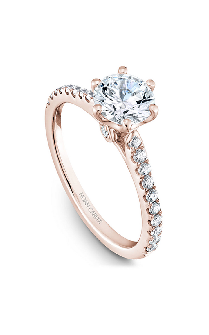 Noam Carver Solitaire Engagement Ring B142-17RA