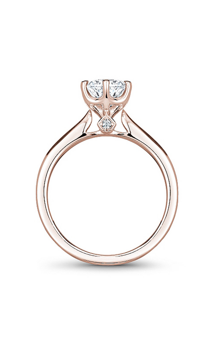 Noam Carver Solitaire Engagement Ring B143-17RA