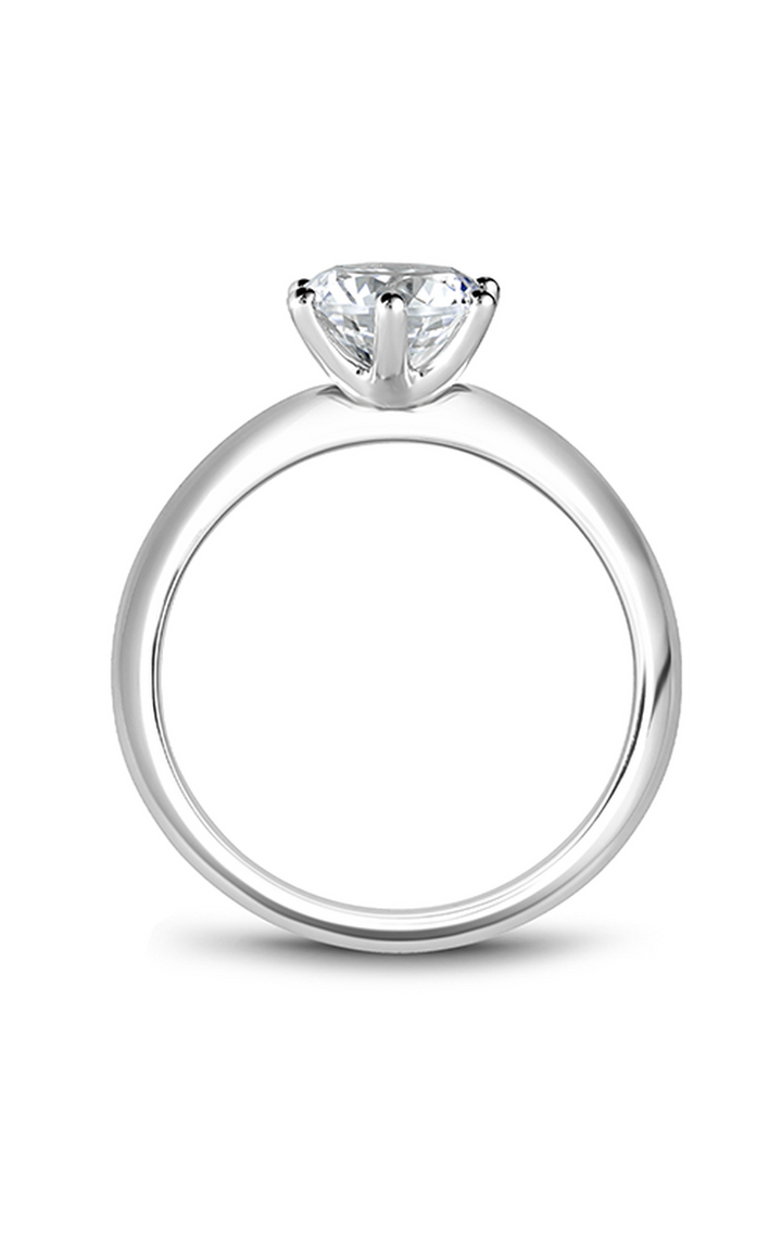 Noam Carver Solitaire Engagement Ring B262-01A