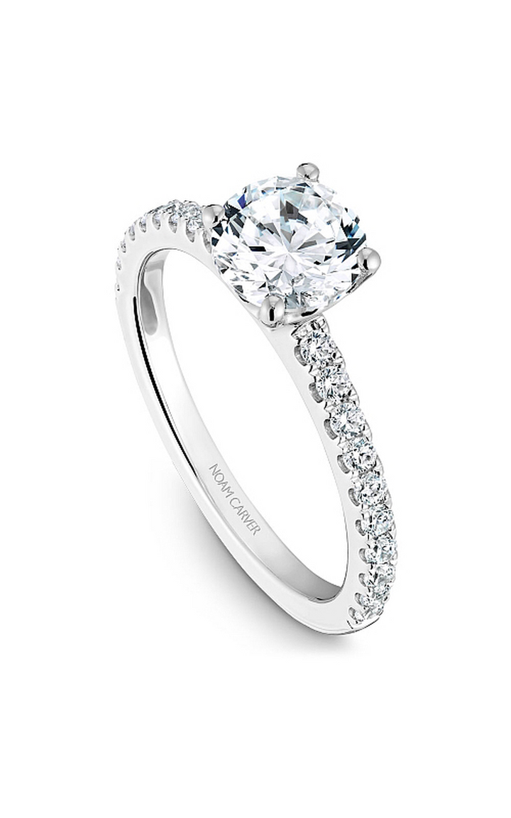 Noam Carver Solitaire Engagement Ring B101-01A