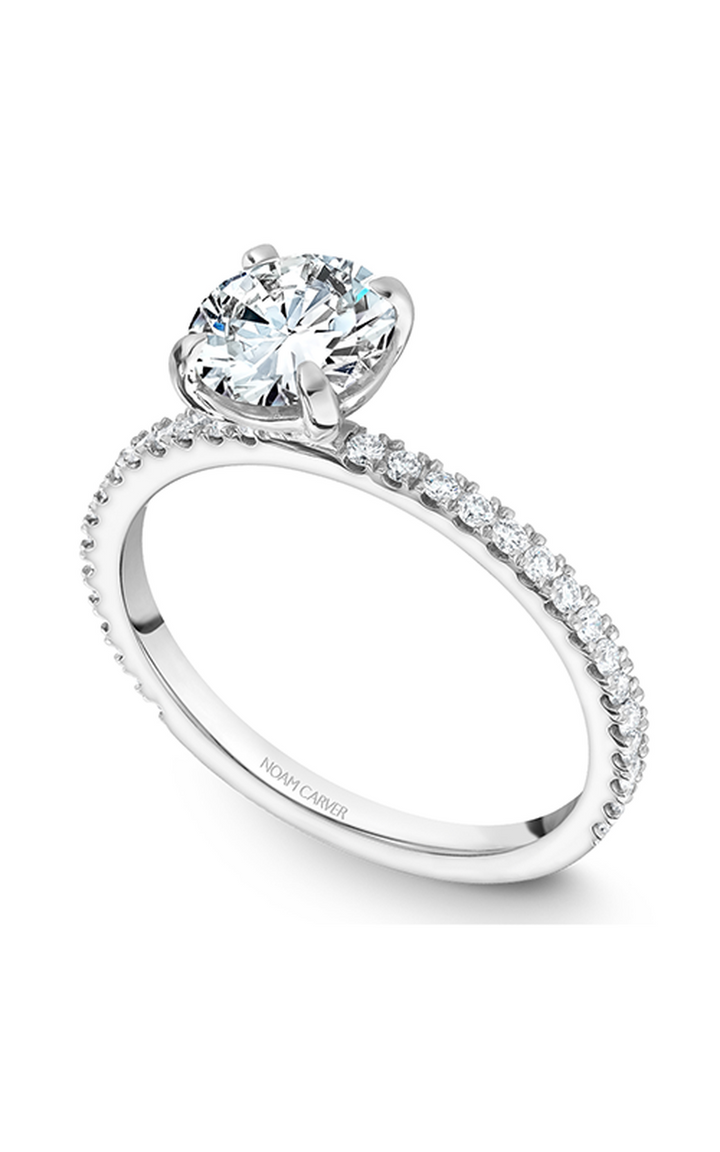 Noam Carver Solitaire Engagement Ring B265-01A