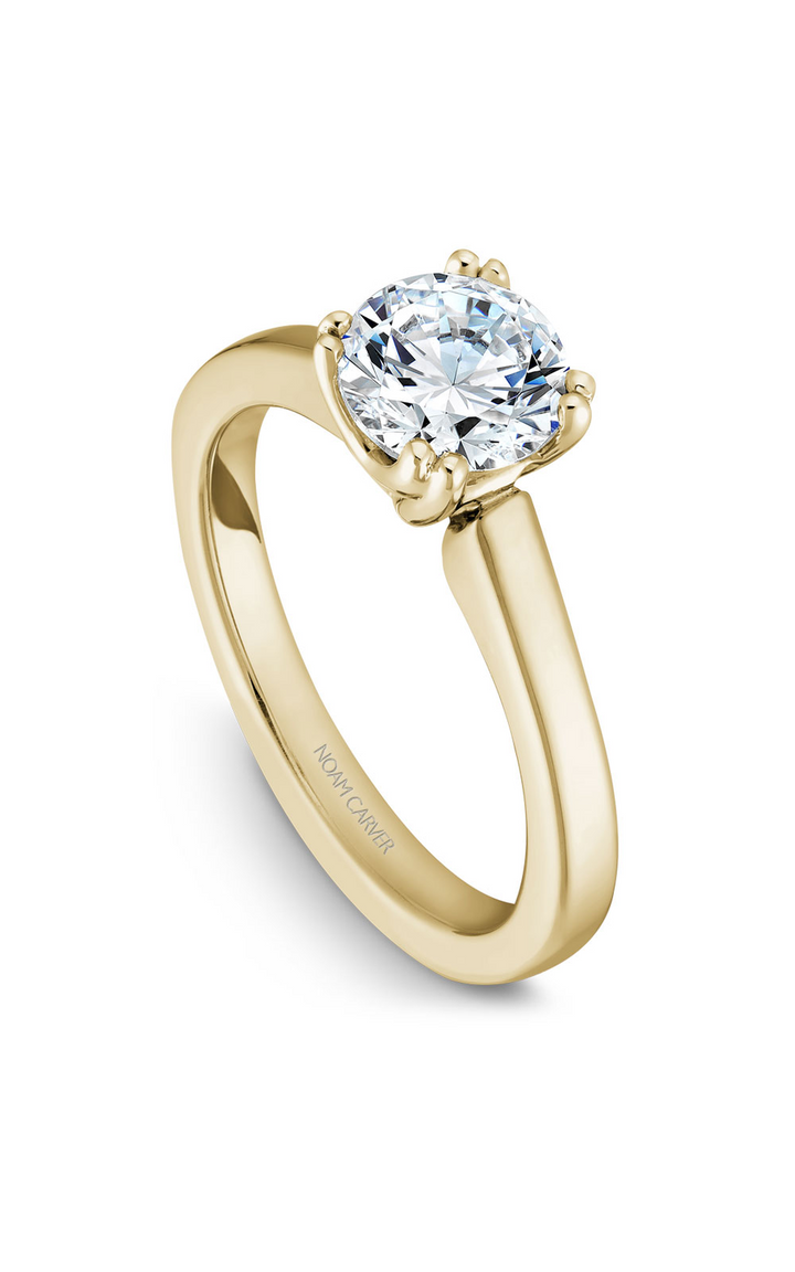 Noam Carver Solitaire Engagement Ring B001-02YA