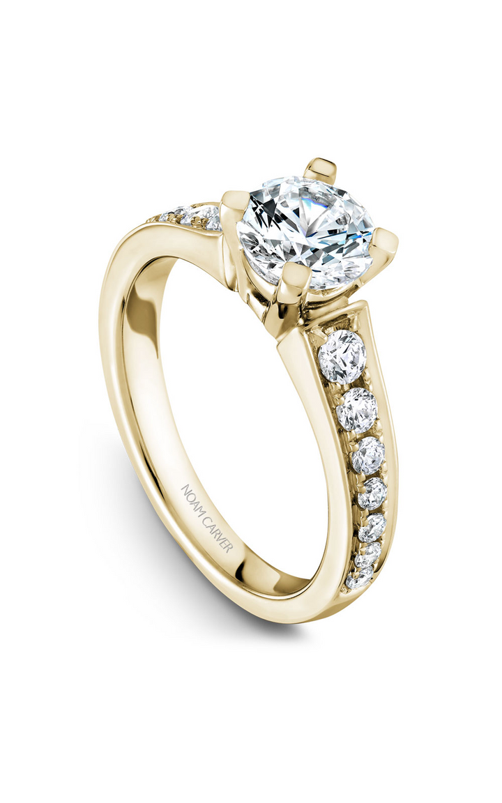 Noam Carver Solitaire Engagement Ring B006-02YA