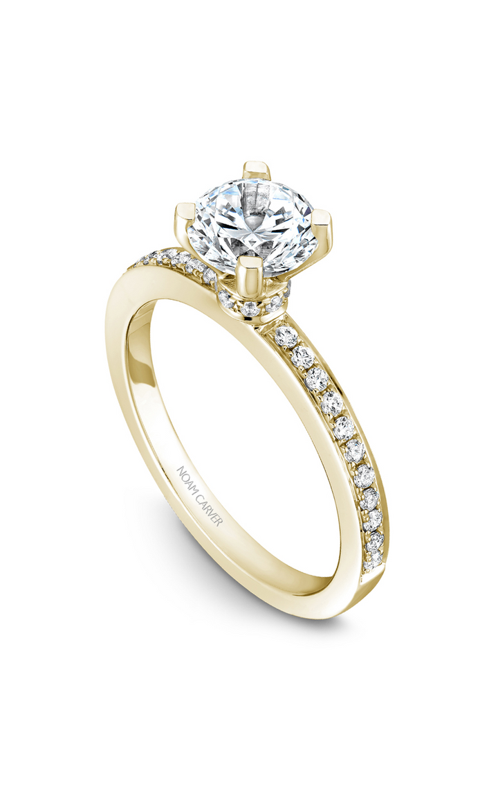 Noam Carver Solitaire Engagement Ring B012-01YA