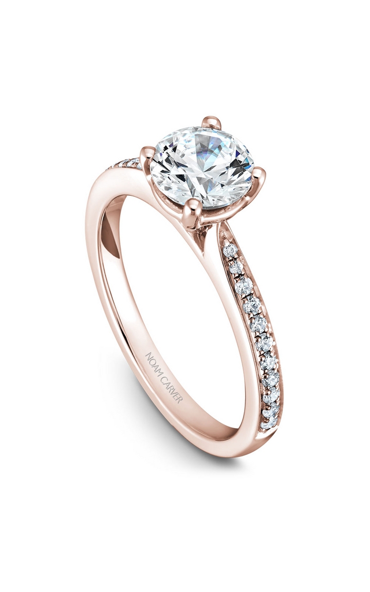 Noam Carver Solitaire Engagement Ring B018-02RA