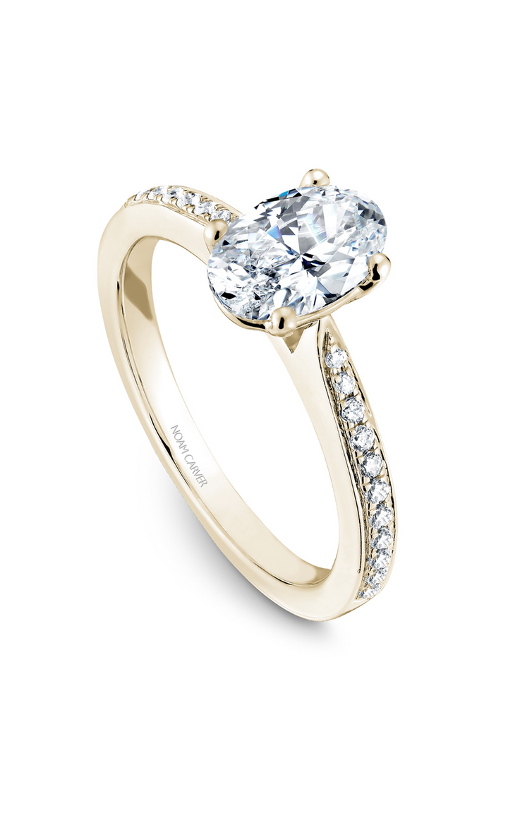 Noam Carver Solitaire Engagement Ring B018-03YA