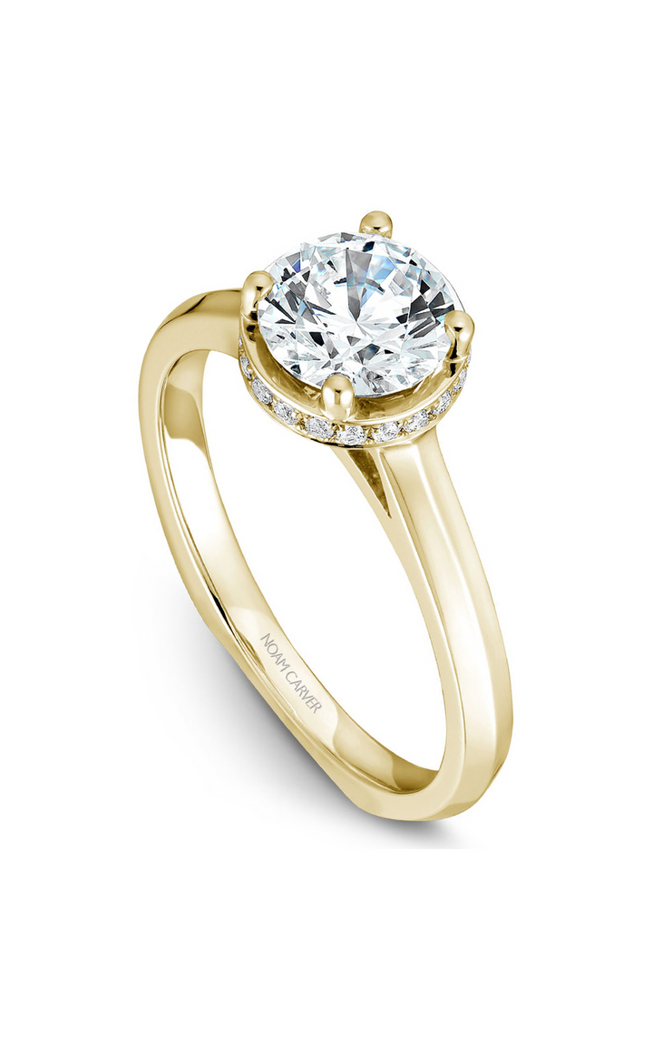 Noam Carver Solitaire Engagement Ring B040-01YA