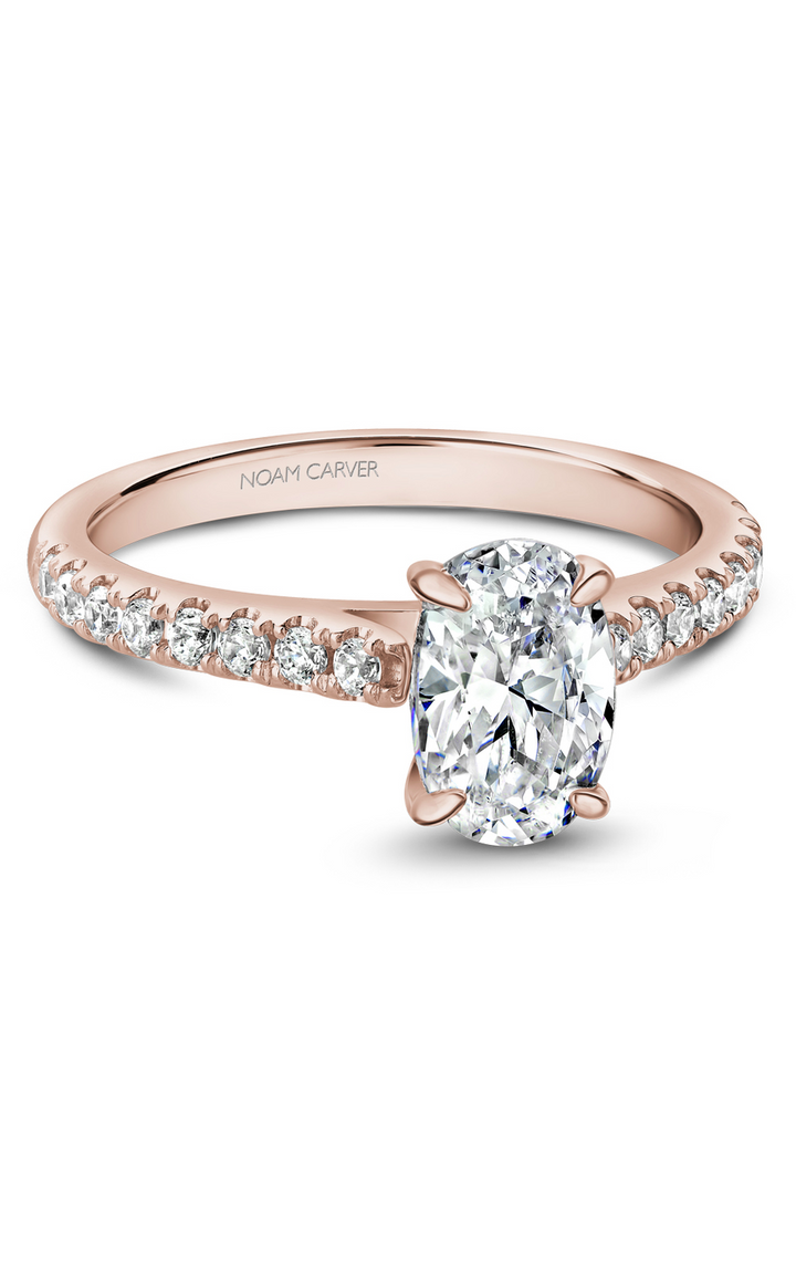 Noam Carver Solitaire Engagement Ring B238-02RA