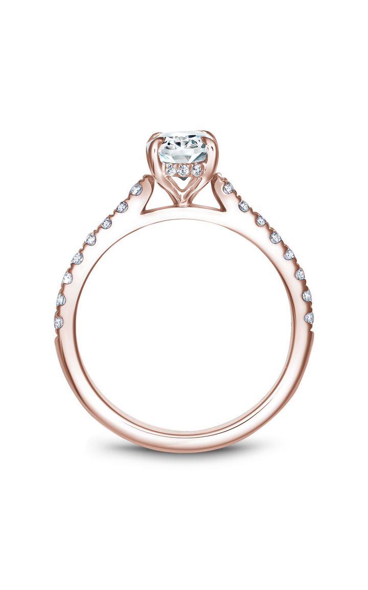 Noam Carver Solitaire Engagement Ring B238-02RA