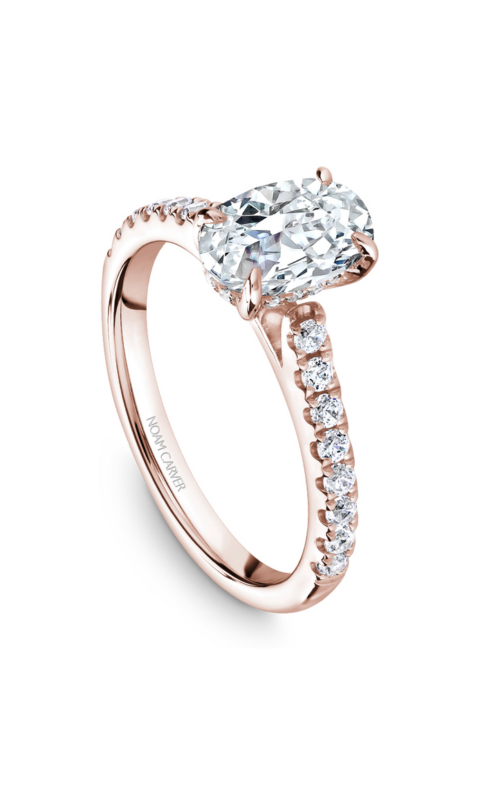 Noam Carver Solitaire Engagement Ring B238-02RA