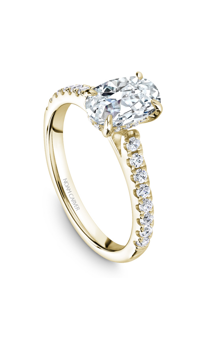 Noam Carver Solitaire Engagement Ring B238-02YA