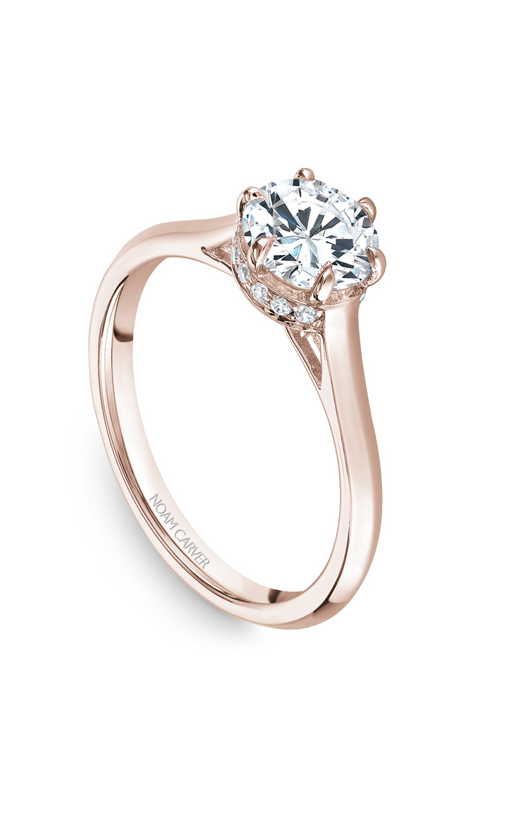 Noam Carver Solitaire Engagement Ring B242-01RA