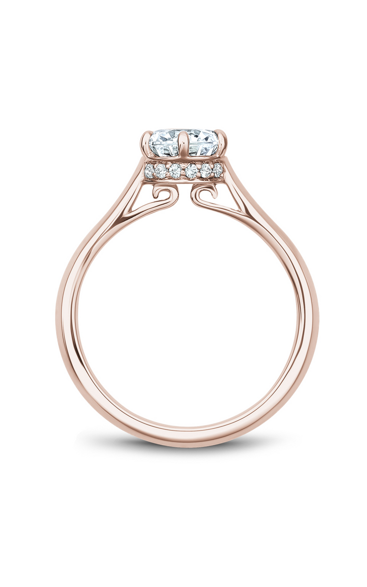 Noam Carver Solitaire Engagement Ring B242-01RA