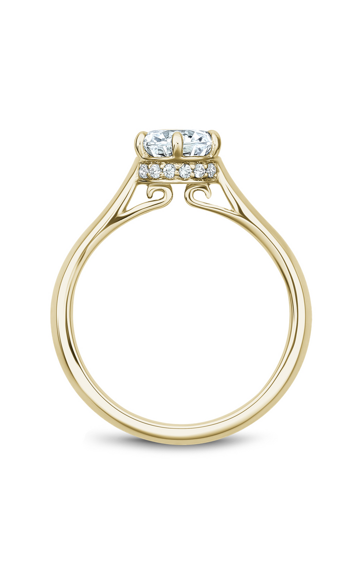 Noam Carver Solitaire Engagement Ring B242-01YA