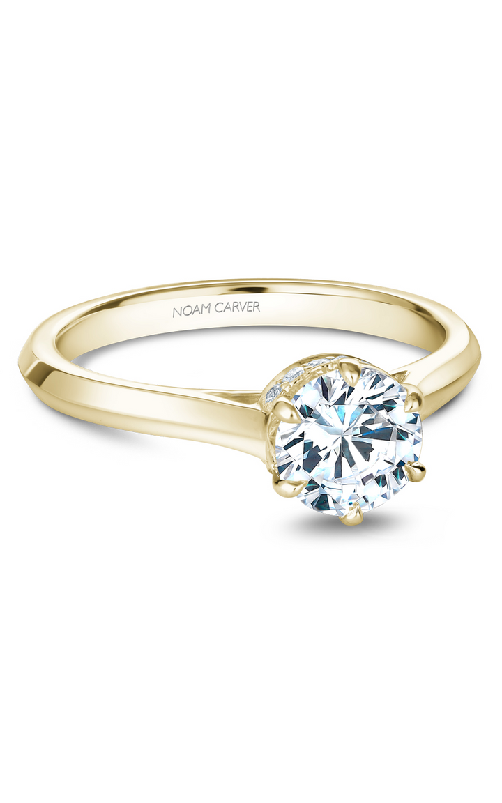 Noam Carver Solitaire Engagement Ring B242-01YA