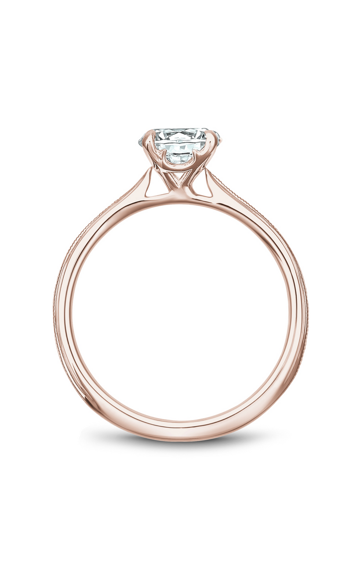 Noam Carver Solitaire Engagement Ring B247-01RA