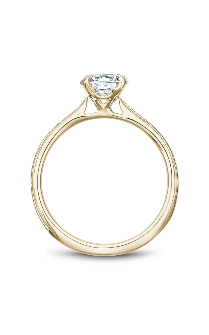 Noam Carver Solitaire Engagement Ring B247-01YA