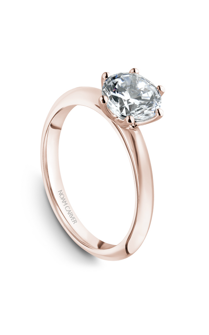 Noam Carver Solitaire Engagement Ring B262-01RA