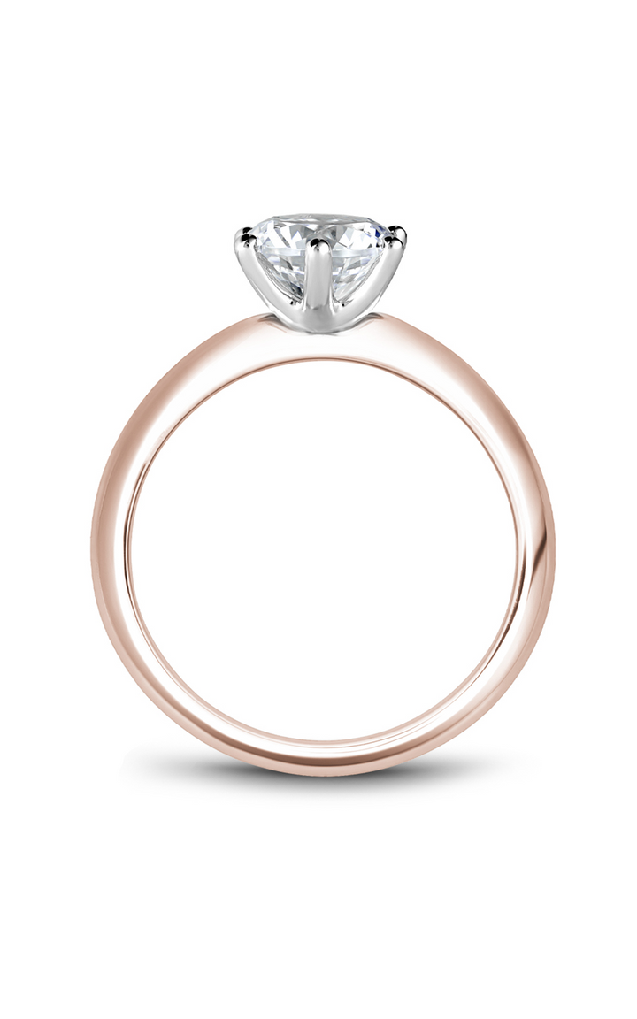 Noam Carver Solitaire Engagement Ring B262-01RWA