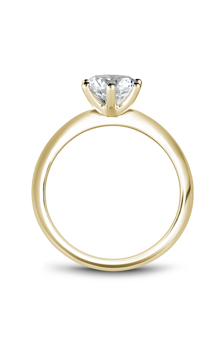 Noam Carver Solitaire Engagement Ring B262-01YA