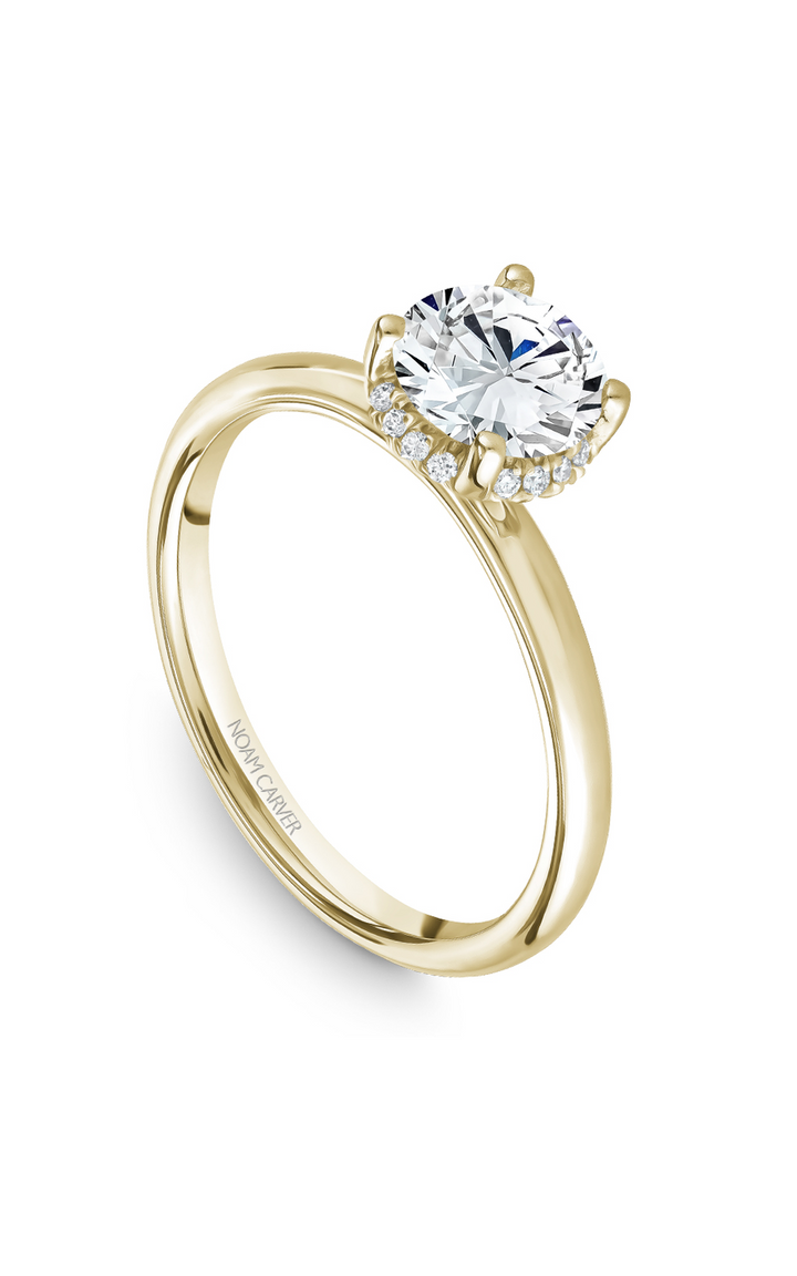 Noam Carver Solitaire Engagement Ring B263-02YA