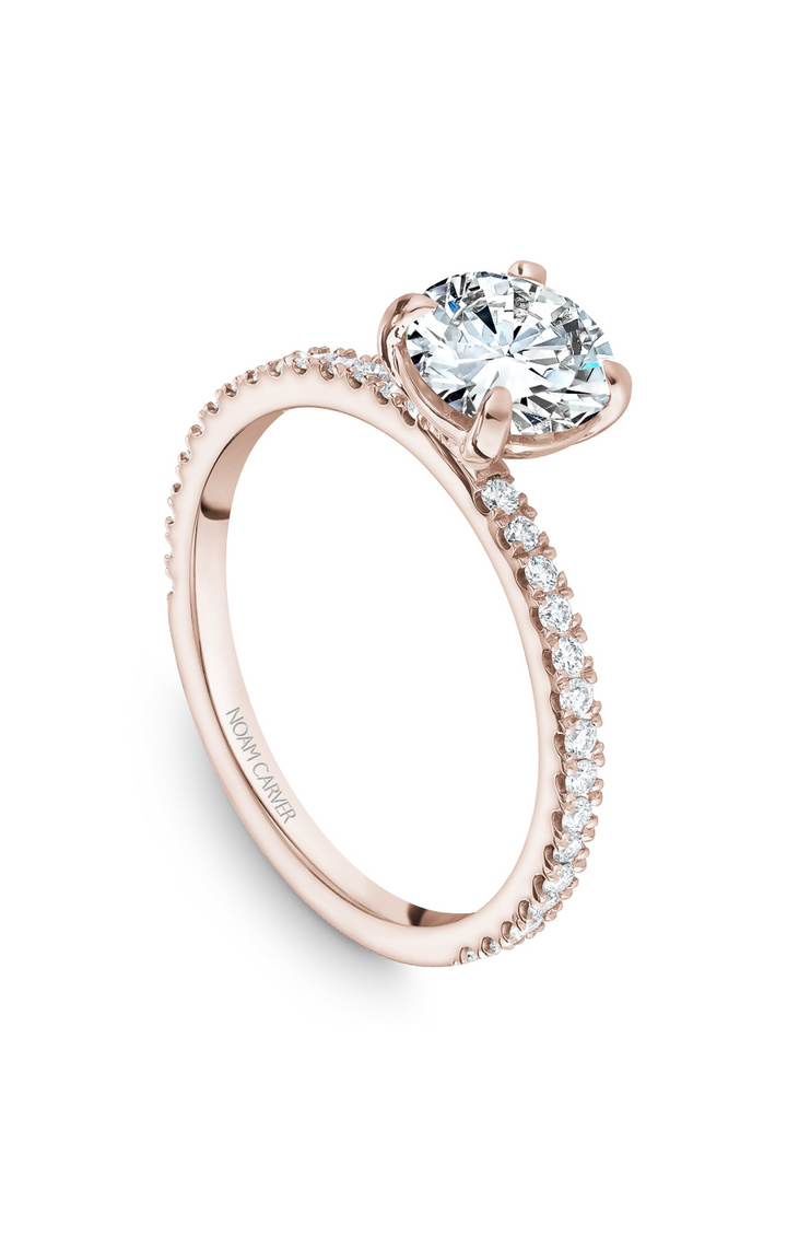 Noam Carver Solitaire Engagement Ring B265-01RA