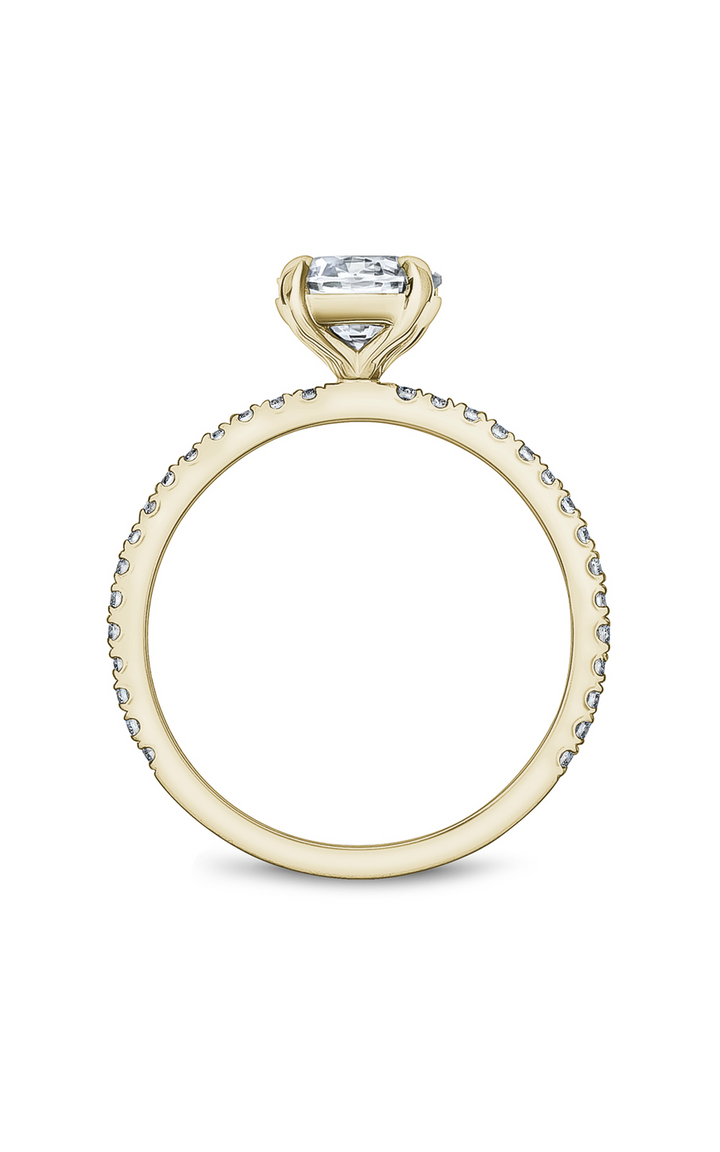 Noam Carver Solitaire Engagement Ring B265-01YA