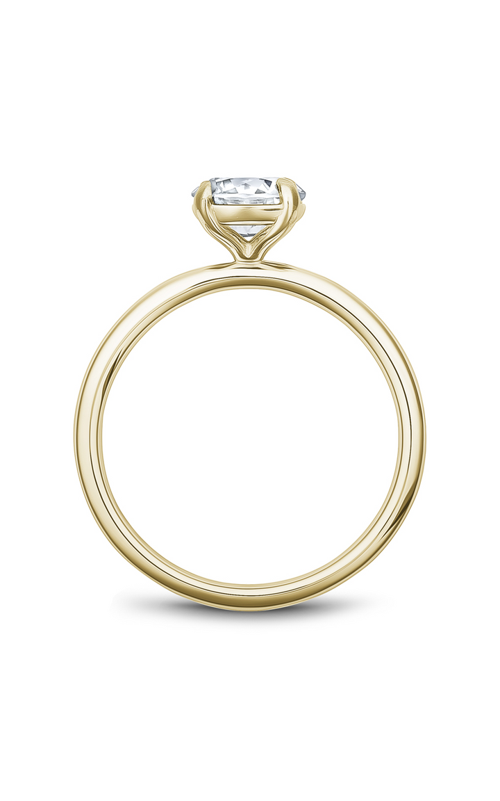 Noam Carver Solitaire Engagement Ring B265-02YA