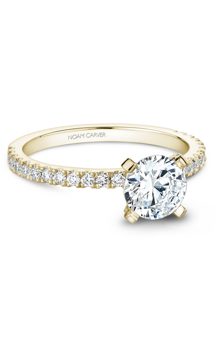 Noam Carver Solitaire Engagement Ring B270-01YA