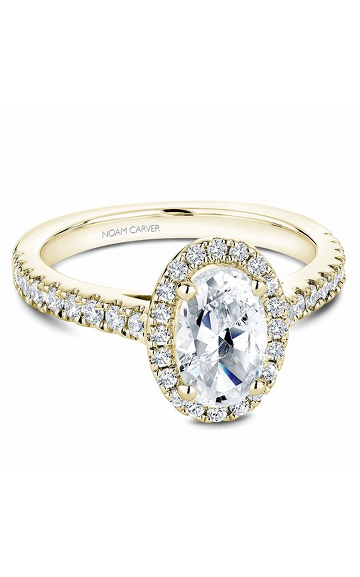 Noam Carver Halo Engagement Ring B034-04YA