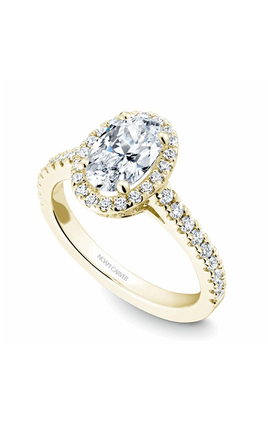 Noam Carver Halo Engagement Ring B034-04YA