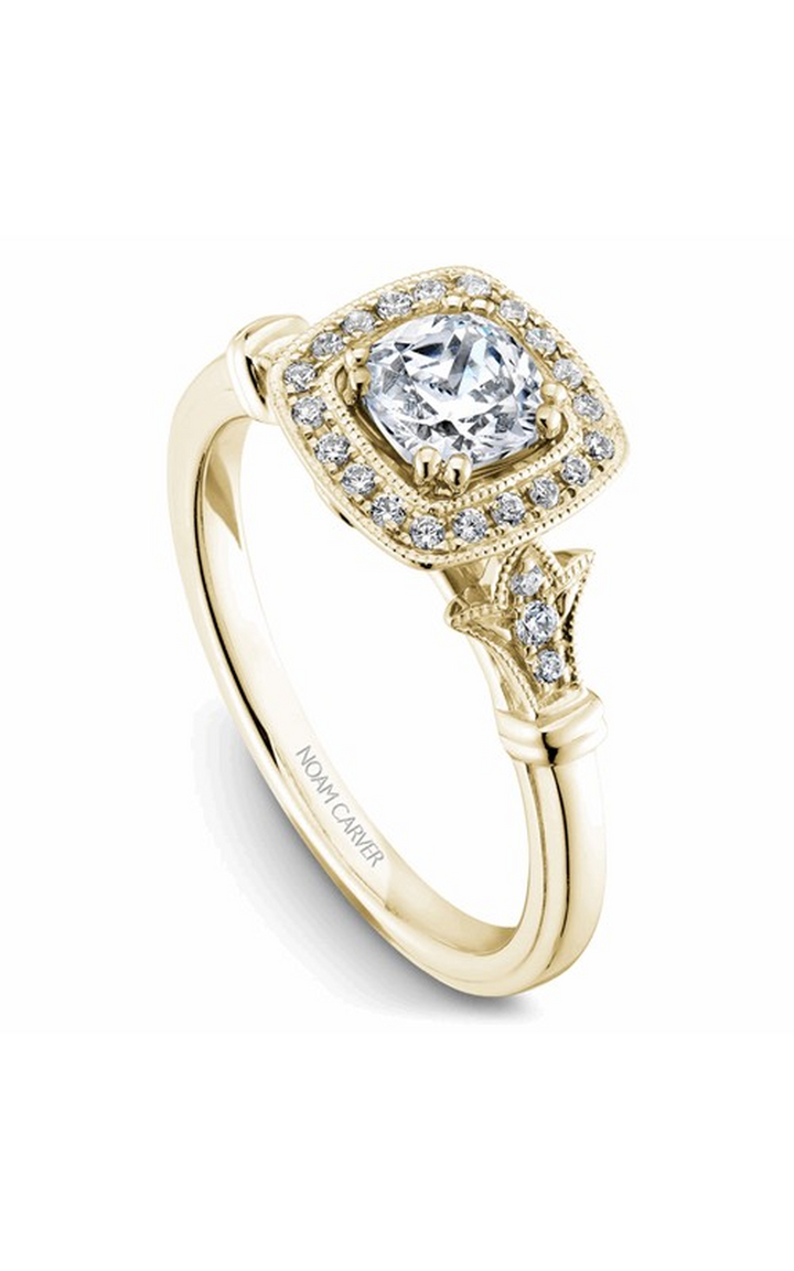 Noam Carver Halo Engagement Ring B076-01YA