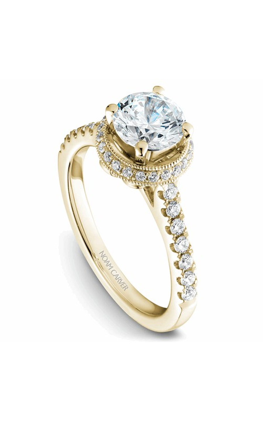 Noam Carver Halo Engagement Ring B082-01YA