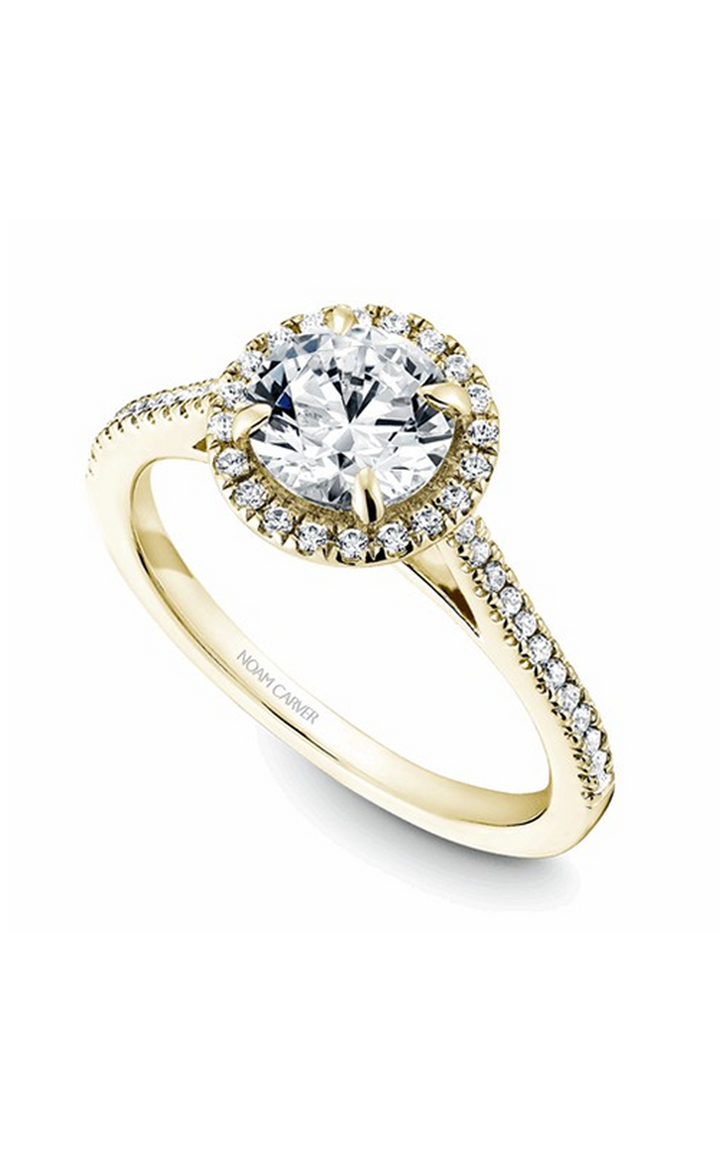 Noam Carver Halo Engagement Ring B094-02YA