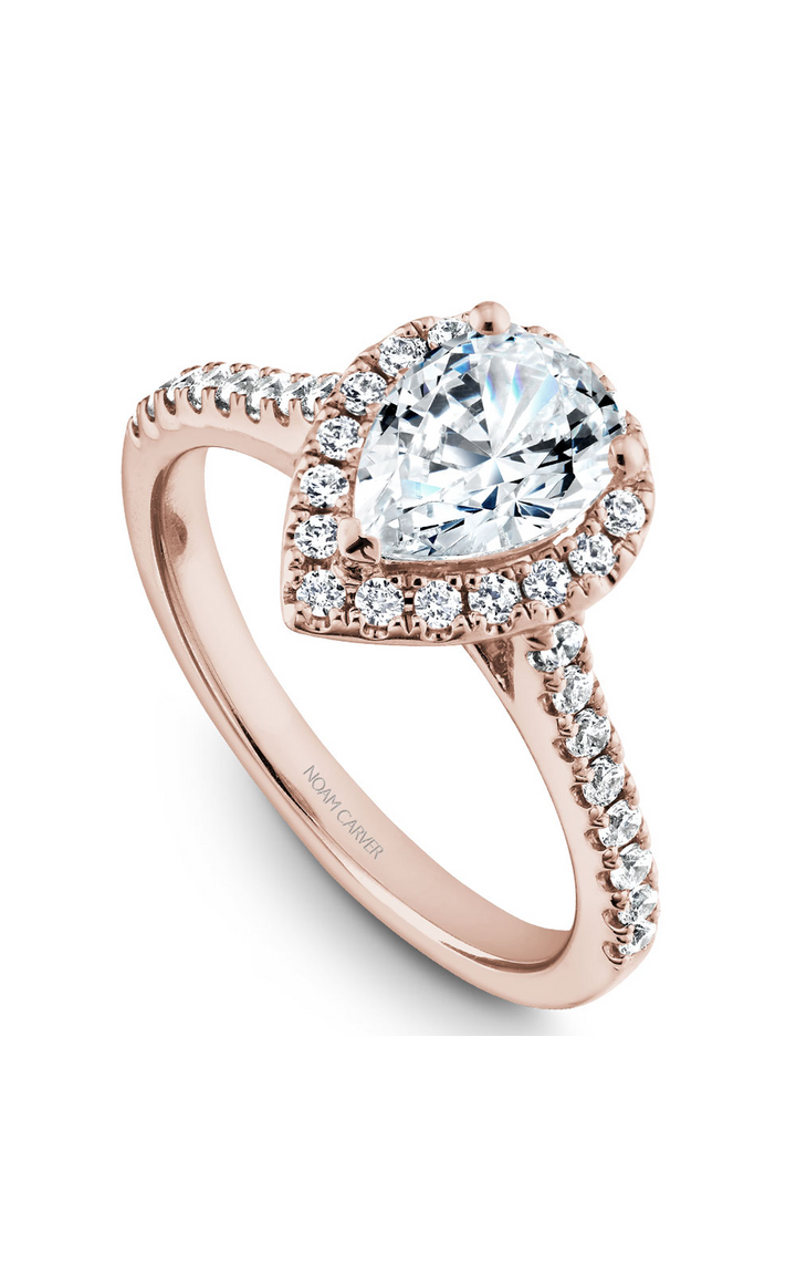 Noam Carver Halo Engagement Ring B169-01RA