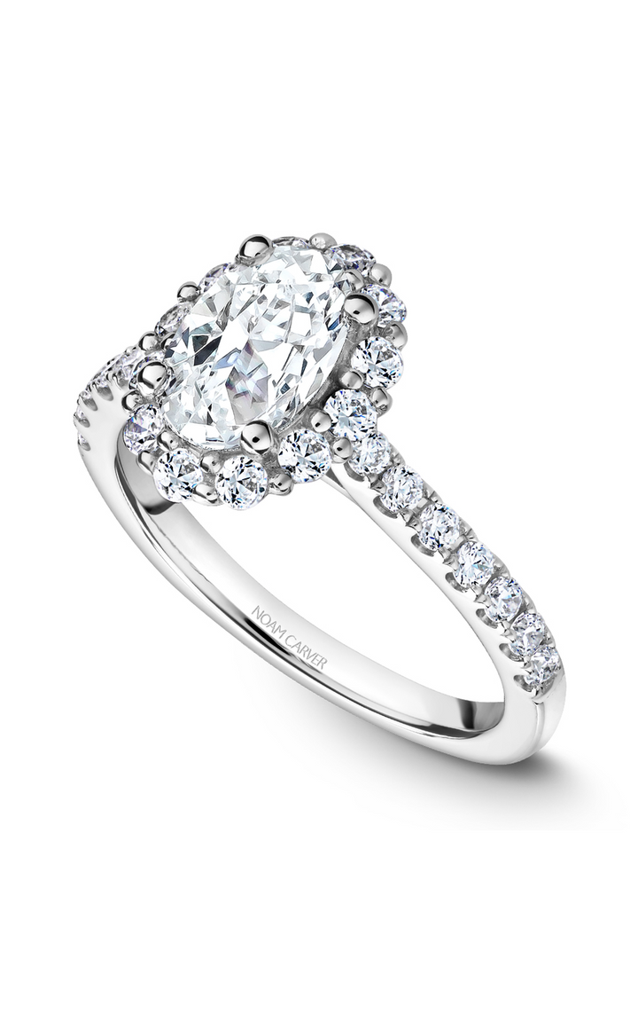 Noam Carver Halo Engagement Ring B189-01A