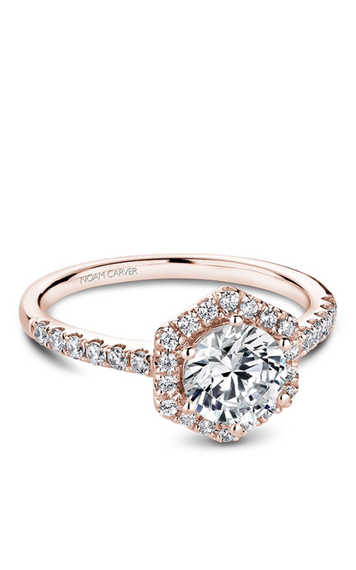 Noam Carver Halo Engagement Ring B214-01RA