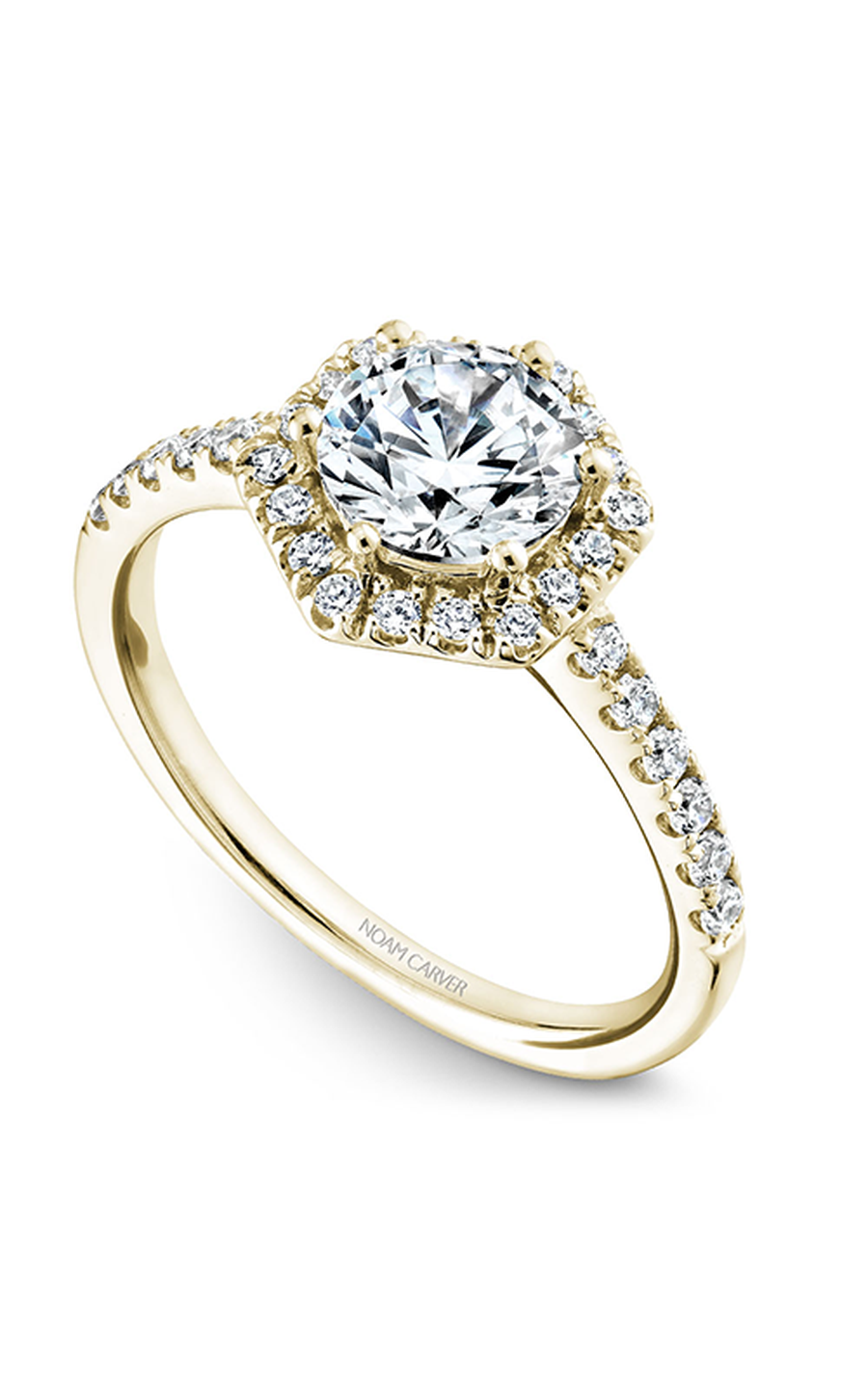 Noam Carver Halo Engagement Ring B214-01YA