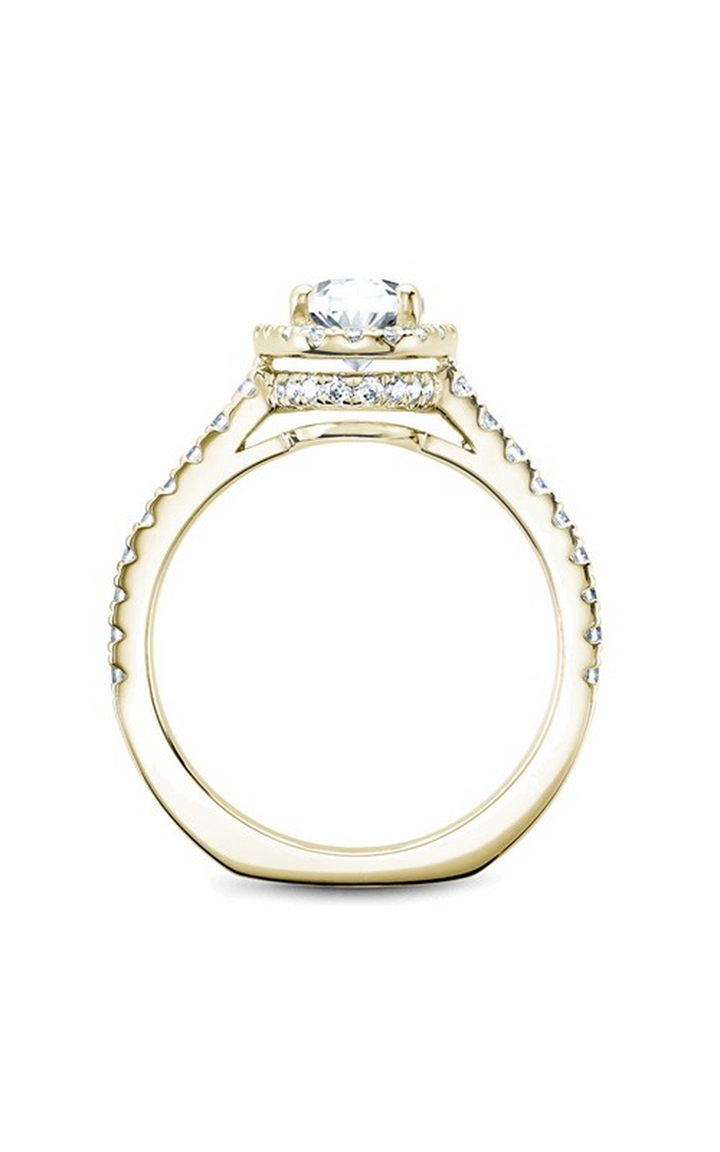 Noam Carver Halo Engagement Ring B034-04YA